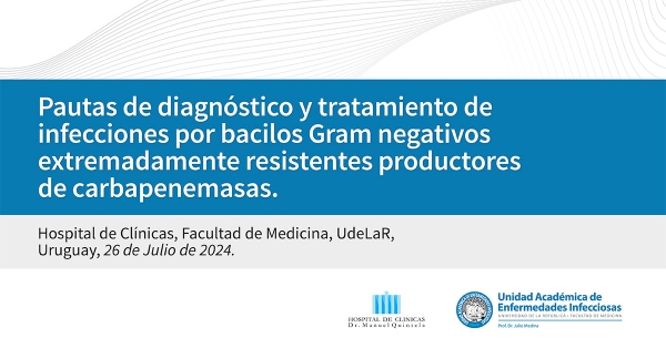 Pautas de diagnóstico y tratamiento de infecciones por bacilos Gram negativos extremadamente resistentes productores de carbapenemasas